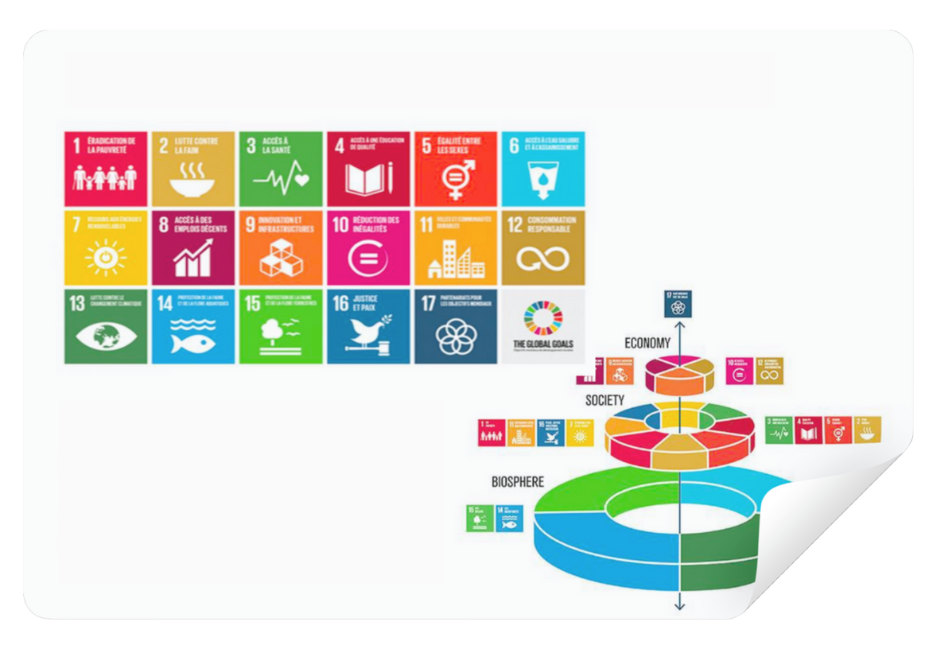 Intégrer la transition écologique sur les tournages !